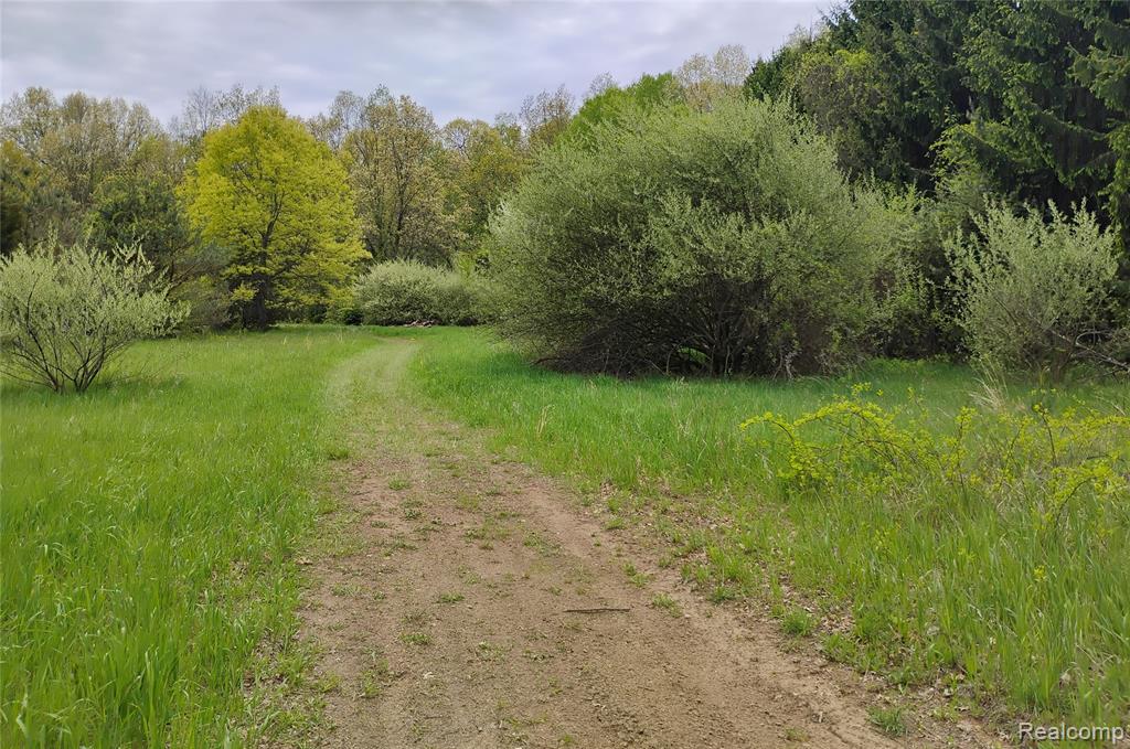 Middle V/l Middle Road Highland, MI 48357 - Photo 3 of 11