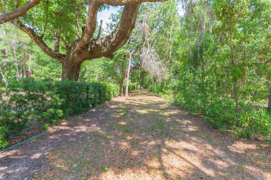 34211 Blanton Road Dade City, FL 33523 - Photo 78 of 100 Gallery Image 78