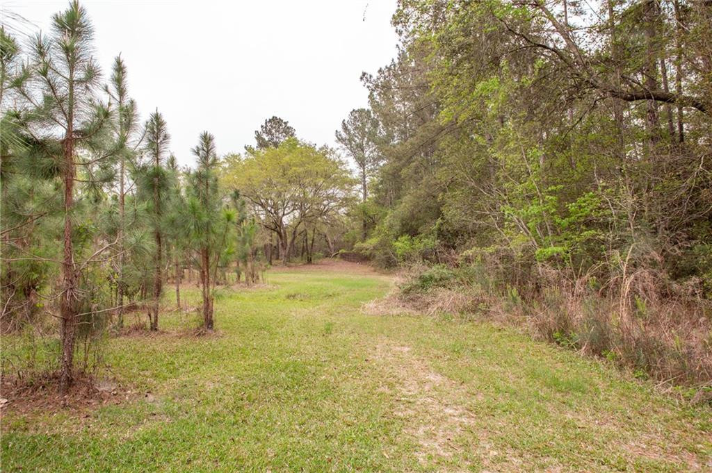 752 Old Hortense Road Hortense, GA 31543 - Photo 8 of 39