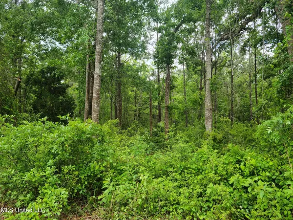 $149,000 | 0 Fountainbleau Road, Ocean Springs, MS 39564