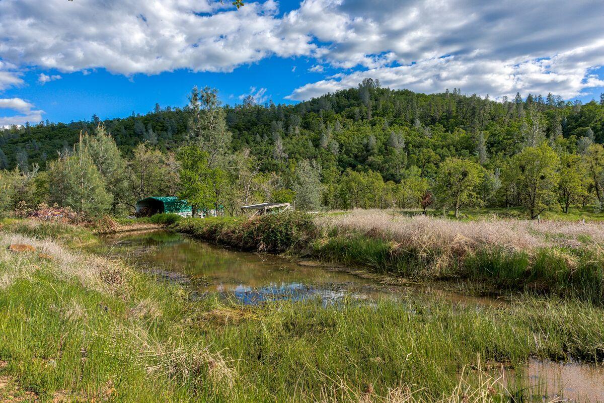 28585 Whitmore Road Whitmore, CA 96096 - Photo 101 of 118 Seasonal Pond2