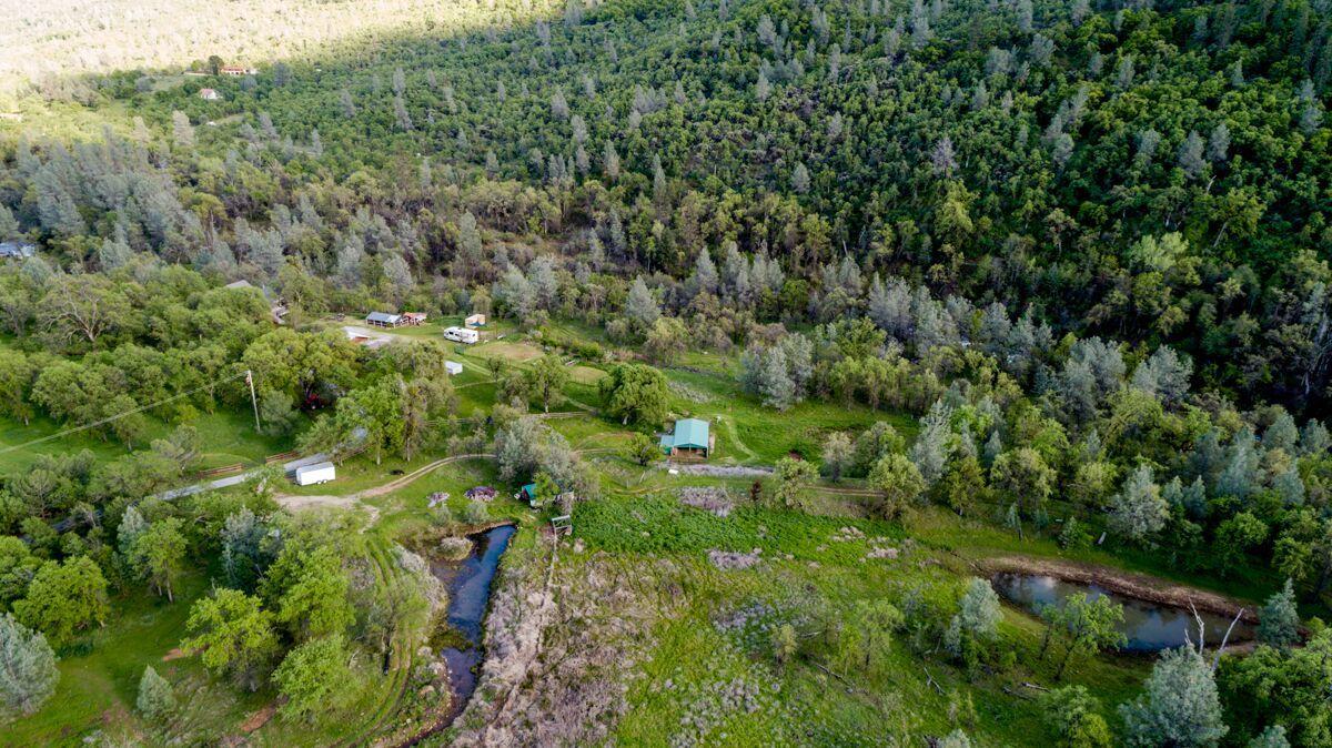 28585 Whitmore Road Whitmore, CA 96096 - Photo 102 of 118 Seasonal Ponds