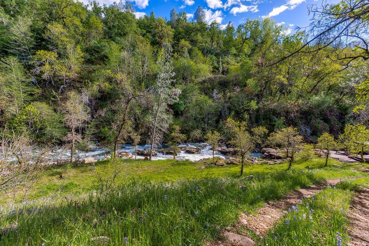 28585 Whitmore Road Whitmore, CA 96096 - Photo 65 of 118 Creek