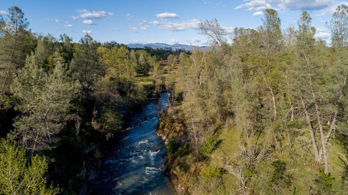 28585 Whitmore Road Whitmore, CA 96096 - Photo 67 of 118 Creek5