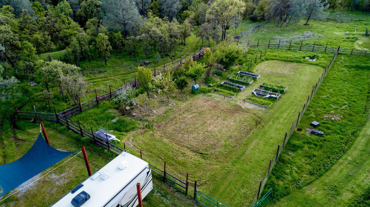28585 Whitmore Road Whitmore, CA 96096 - Photo 77 of 118 Garden