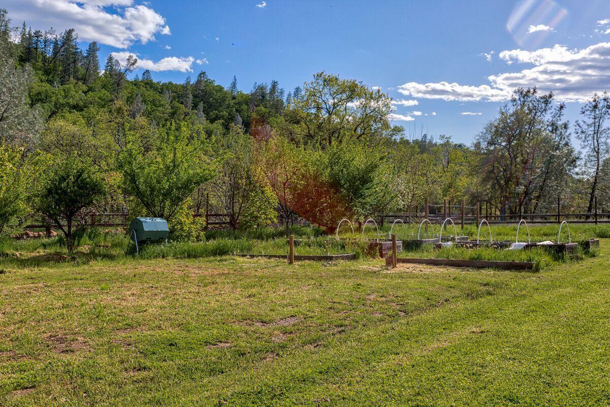 28585 Whitmore Road Whitmore, CA 96096 - Photo 78 of 118 Garden area
