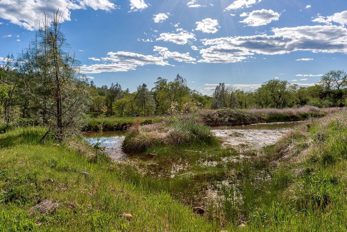 28585 Whitmore Road Whitmore, CA 96096 - Photo 99 of 118 Seasonal Pond