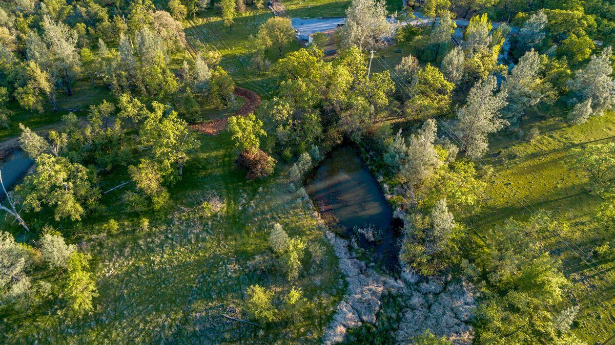 28585 Whitmore Road Whitmore, CA 96096 - Photo 100 of 118 Seasonal Pond1