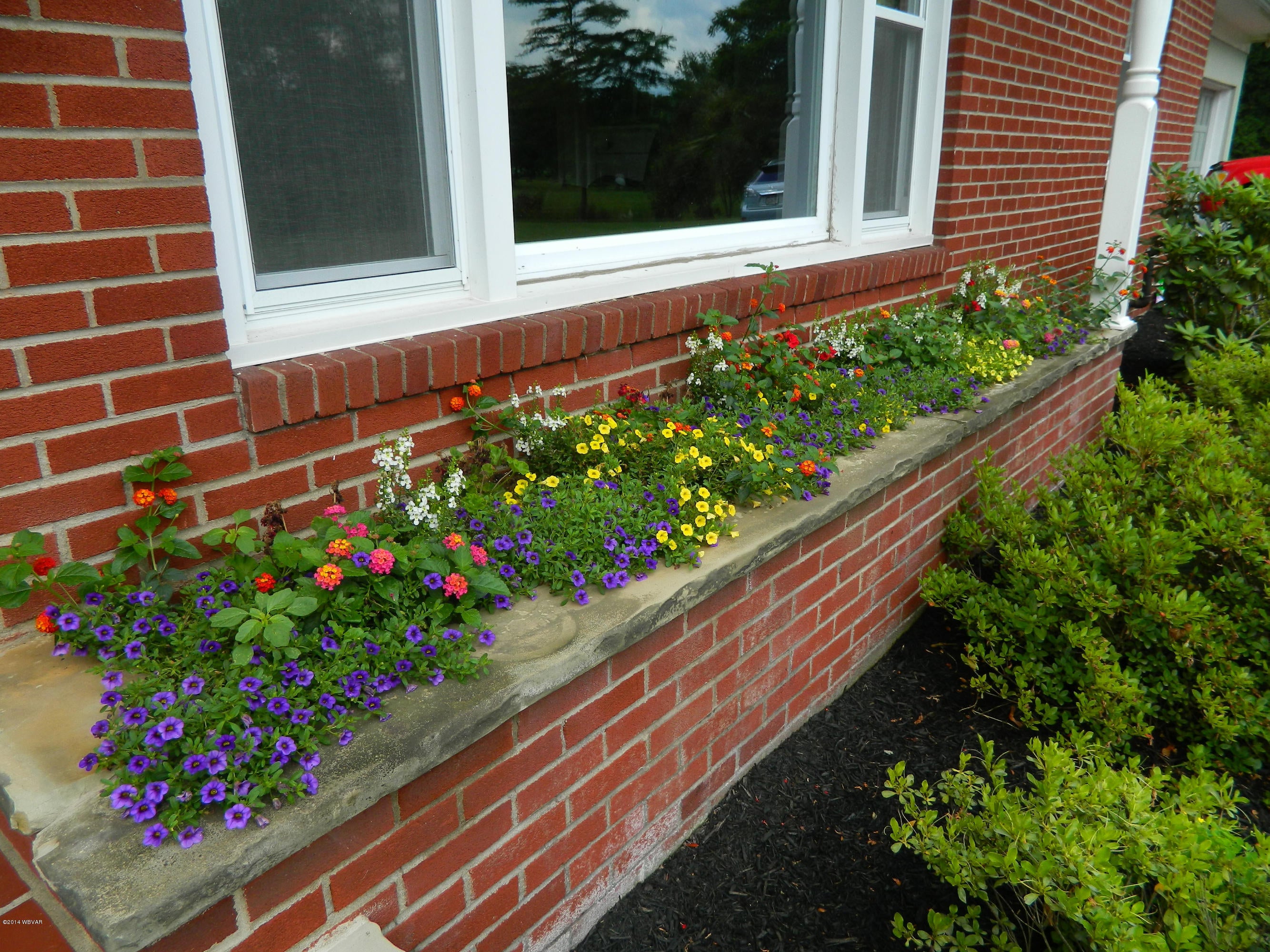 45 Pine Run Road Hughesville, PA 17737 - Photo 36 of 36 Flowers below Living Room Window