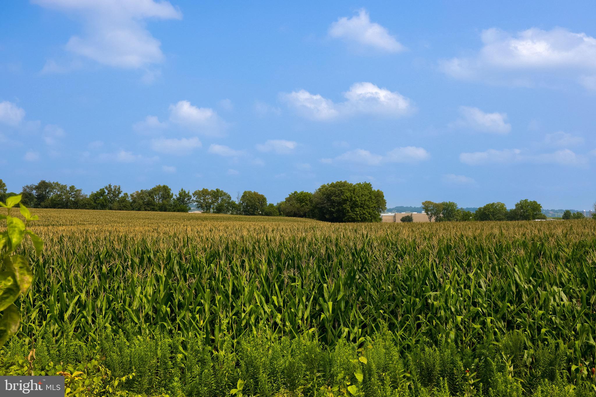 421 Wagonwheel Road Lititz, PA 17543 - Photo 3 of 35