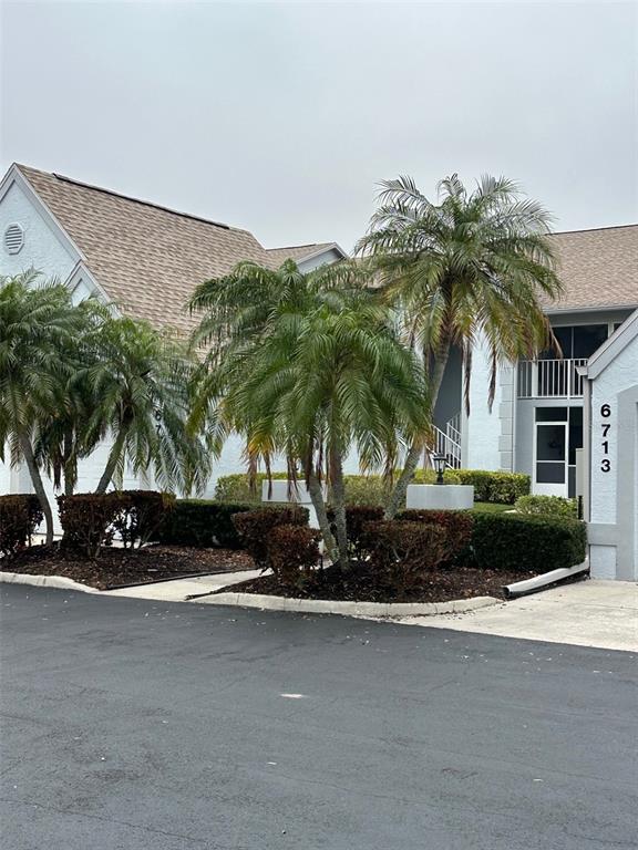 a front view of a house with a yard and palm tree
