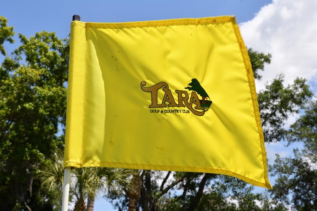 6713 Stone River Road, Unit 206 Bradenton, FL 34203 - Photo 50 of 58 a blue swimming pool with a yard and plants