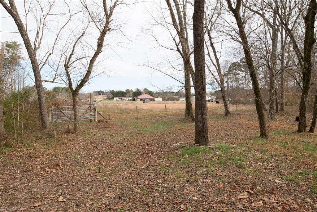 1625 Bloomtown Road East Bend, NC 27018 - Photo 13 of 21 Back of Pasture and lot