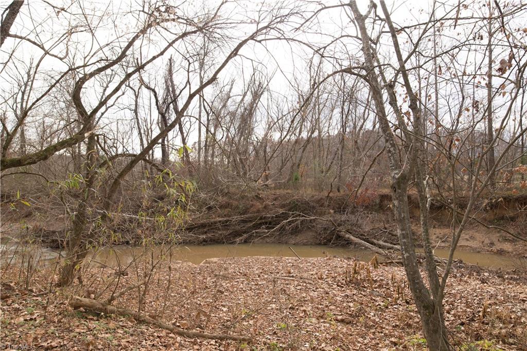 1625 Bloomtown Road East Bend, NC 27018 - Photo 15 of 21 Logan Creek / this looks like a beach in the summer time!
