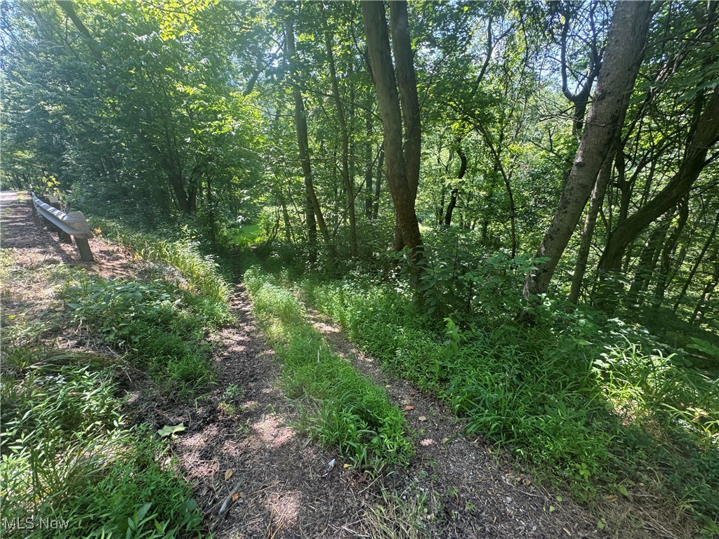Lot 2 County Road New Matamoras, OH 45767 - Photo 16 of 18 Gallery Image 16