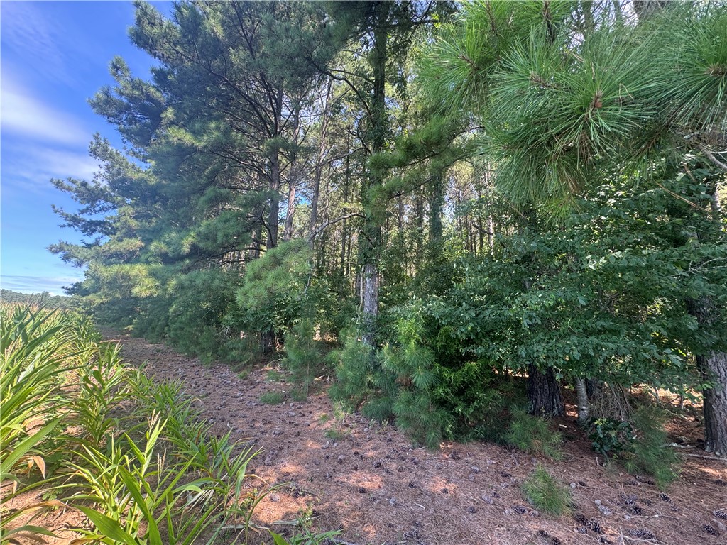 Lot 3 Rogers Road Pendleton, SC 29670 - Photo 11 of 16