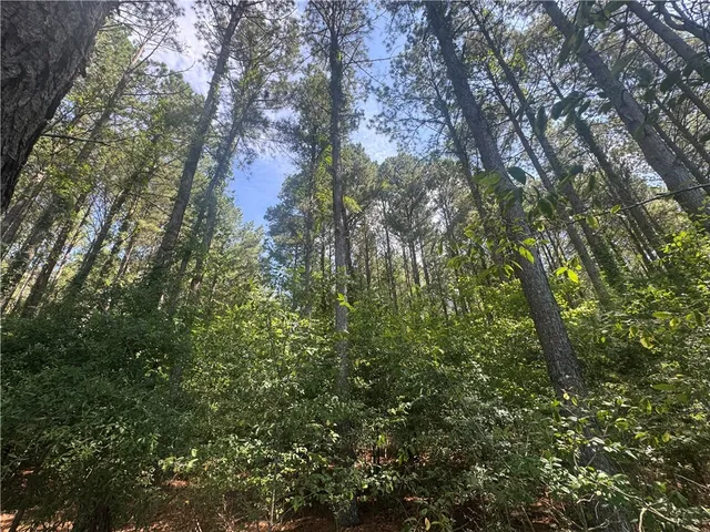 $234,000 | Lot 3 Rogers Road, Pendleton, SC 29670