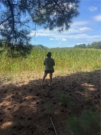 $234,000 | Lot 3 Rogers Road, Pendleton, SC 29670