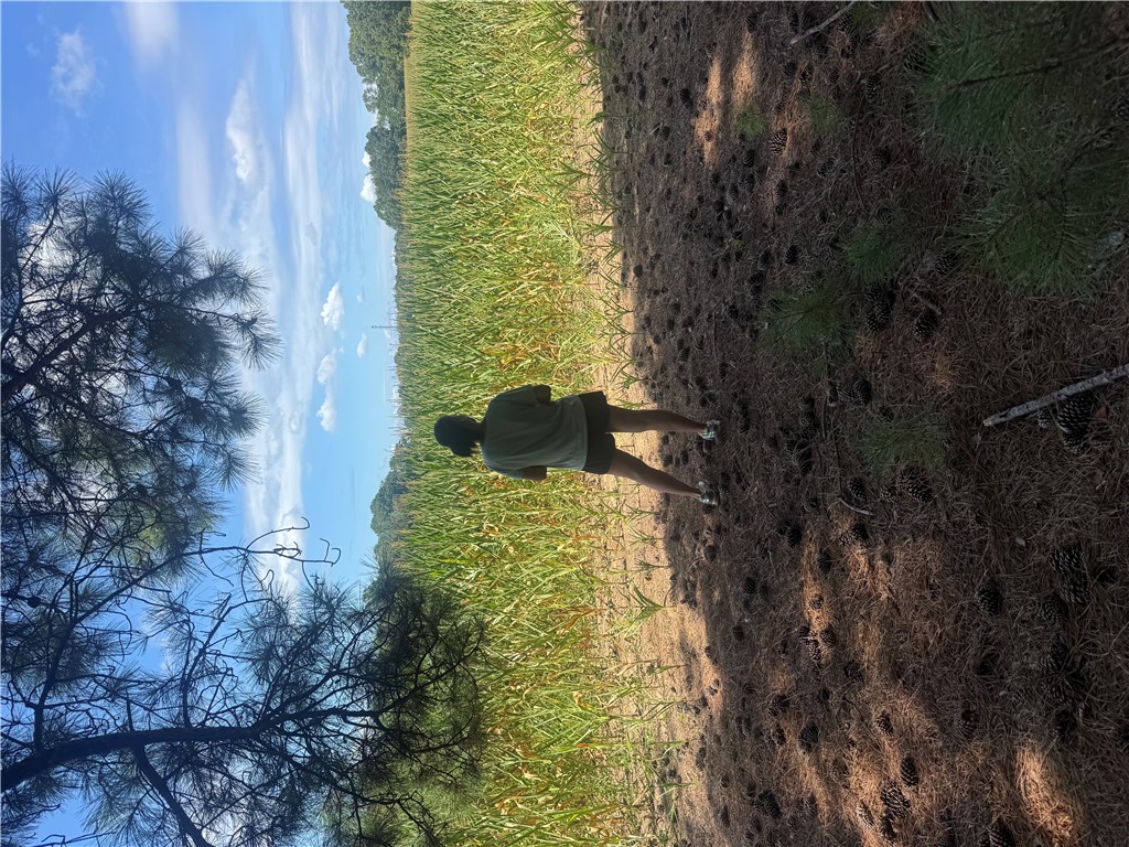 Lot 3 Rogers Road Pendleton, SC 29670 - Photo 14 of 16