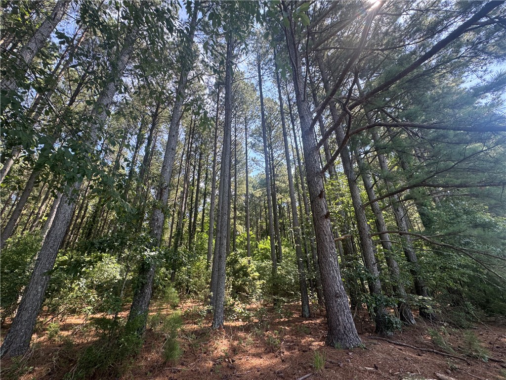 Lot 3 Rogers Road Pendleton, SC 29670 - Photo 15 of 16