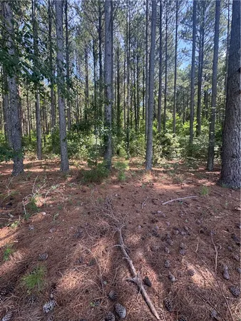 $234,000 | Lot 3 Rogers Road, Pendleton, SC 29670
