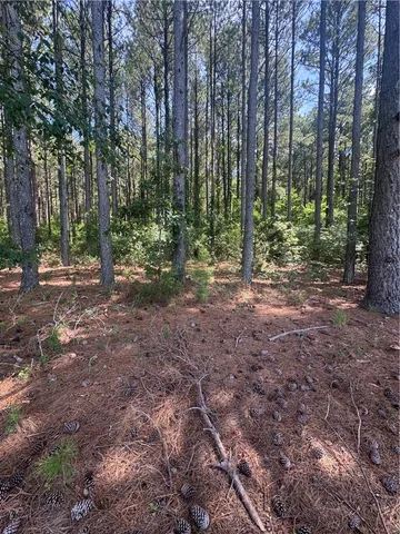 $234,000 | Lot 3 Rogers Road, Pendleton, SC 29670