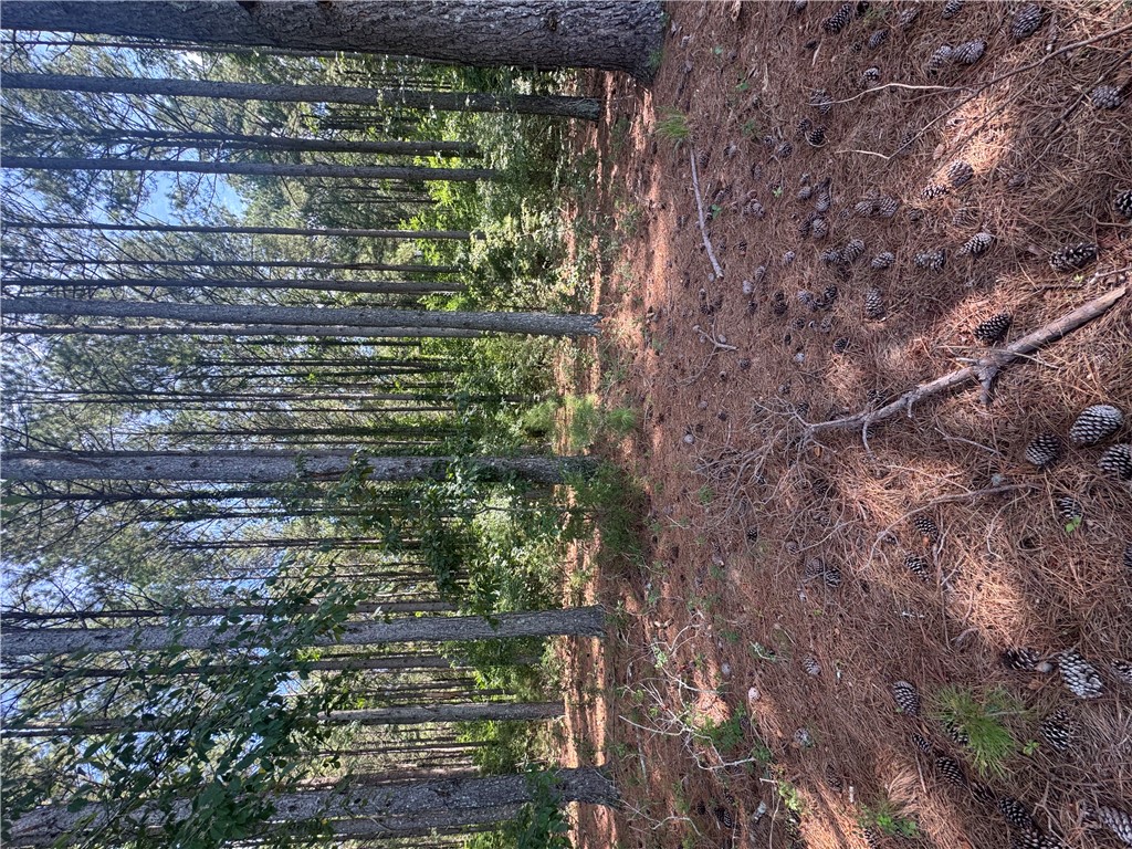 Lot 3 Rogers Road Pendleton, SC 29670 - Photo 16 of 16