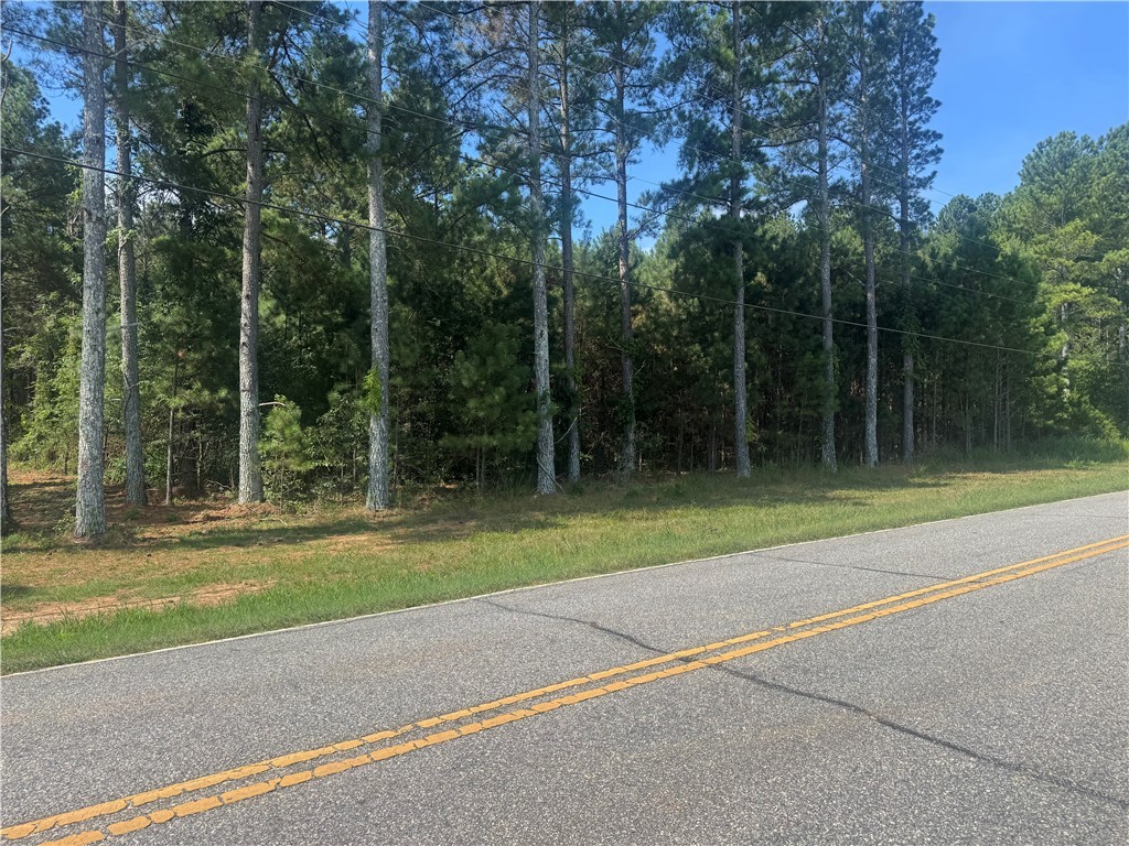 Lot 3 Rogers Road Pendleton, SC 29670 - Photo 2 of 16