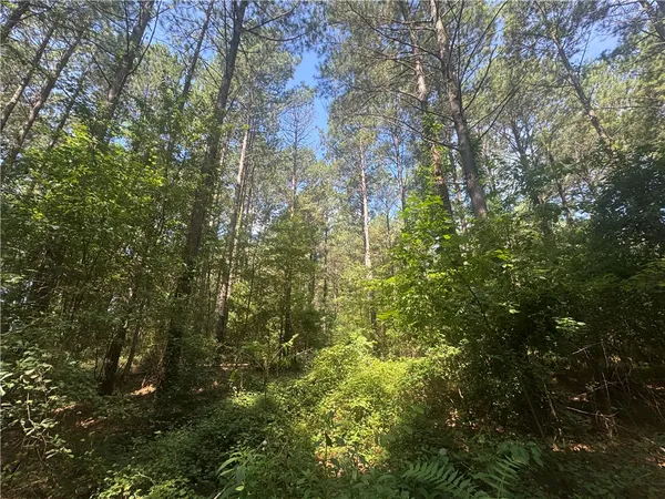 $234,000 | Lot 3 Rogers Road, Pendleton, SC 29670