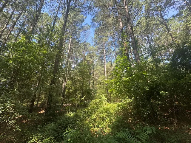 $234,000 | Lot 3 Rogers Road, Pendleton, SC 29670