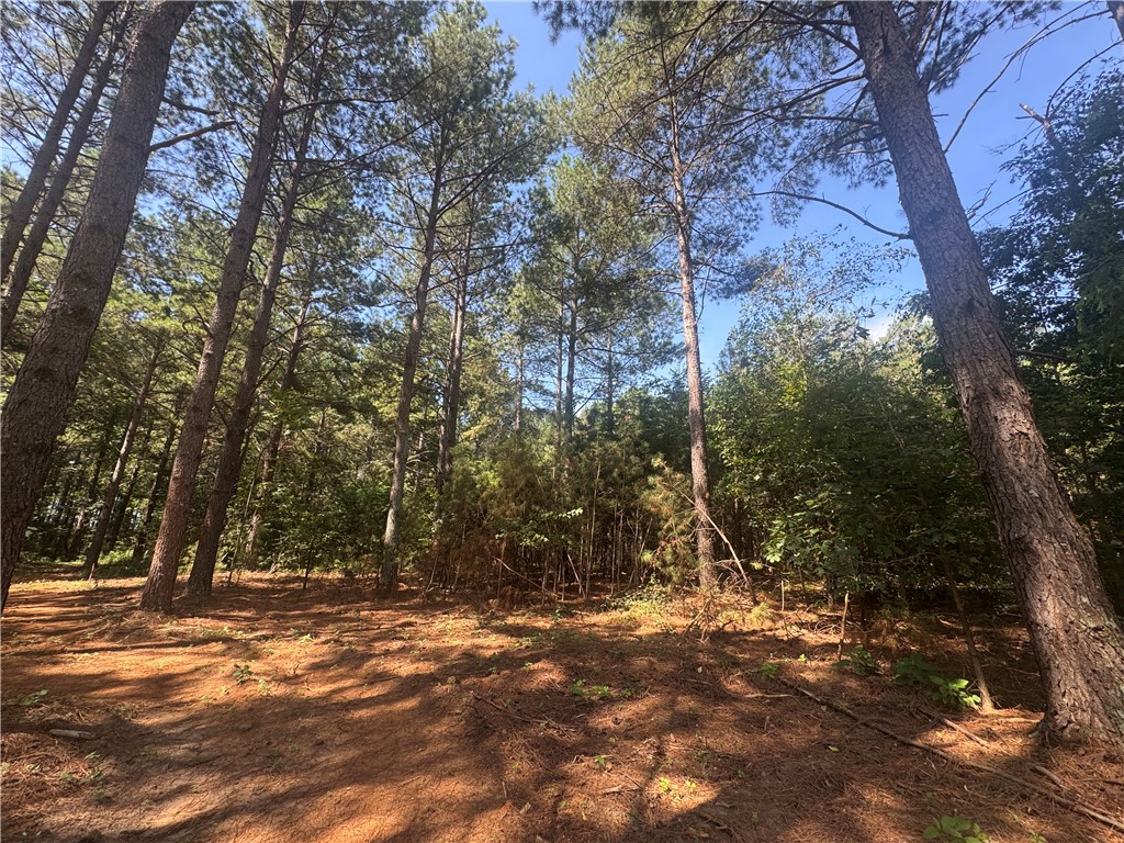 Lot 3 Rogers Road Pendleton, SC 29670 - Photo 7 of 16