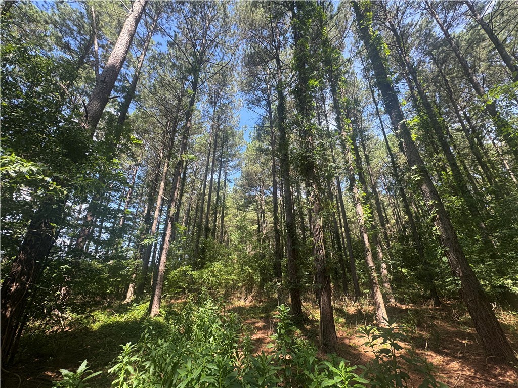 Lot 3 Rogers Road Pendleton, SC 29670 - Photo 8 of 16