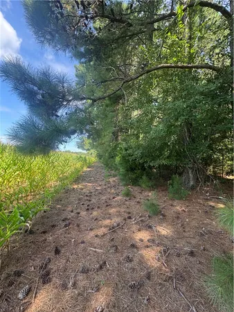 $234,000 | Lot 3 Rogers Road, Pendleton, SC 29670