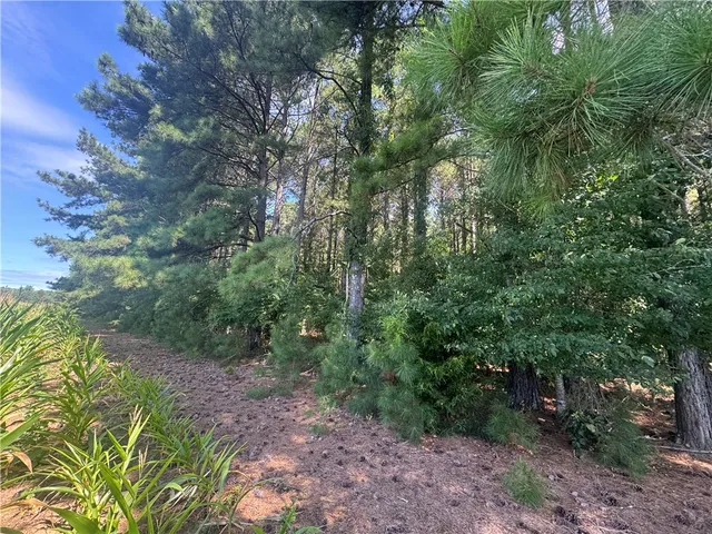 $234,000 | Lot 3 Rogers Road, Pendleton, SC 29670