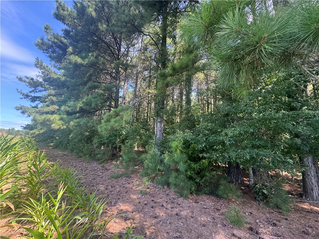 Lot 3 Rogers Road Pendleton, SC 29670 - Photo 10 of 16