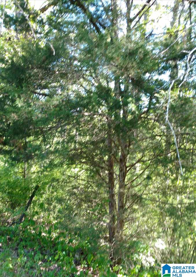 1055 Lynnwood Road Sylacauga, AL 35150 - Photo 22 of 28