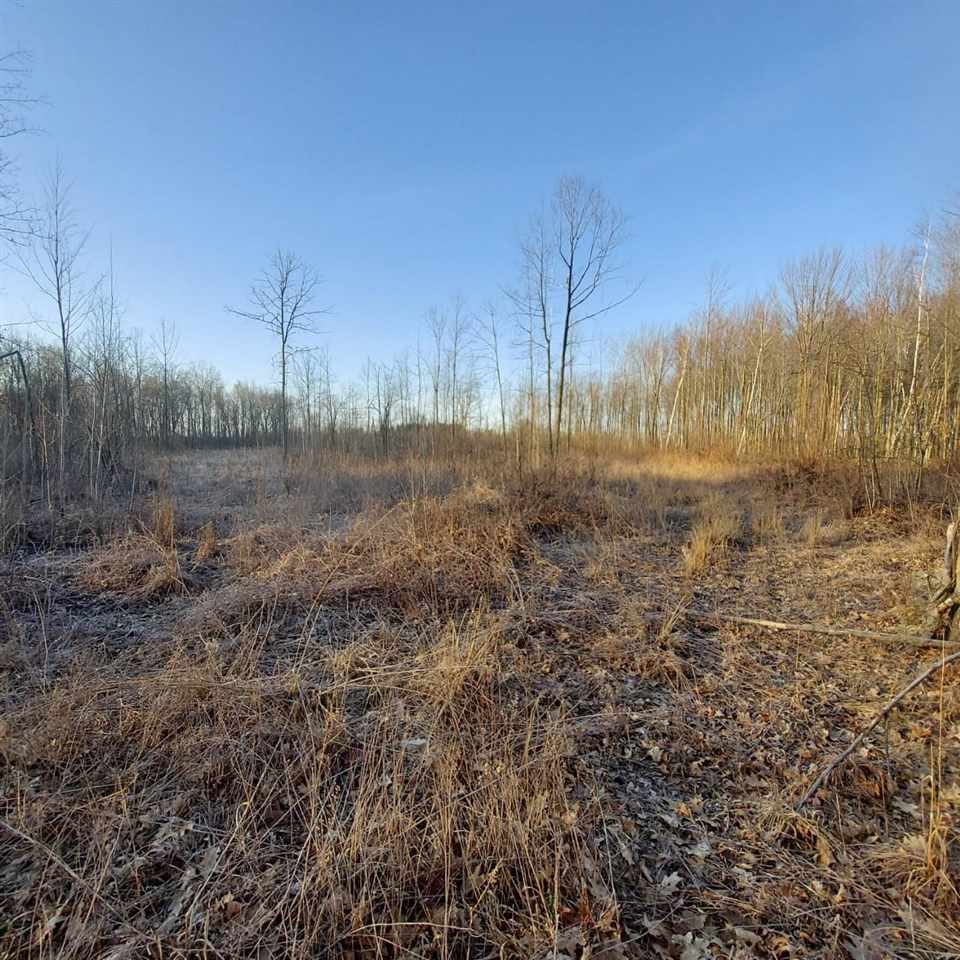 Tbd West Burns Road Coleman, MI 48618 - Photo 4 of 6
