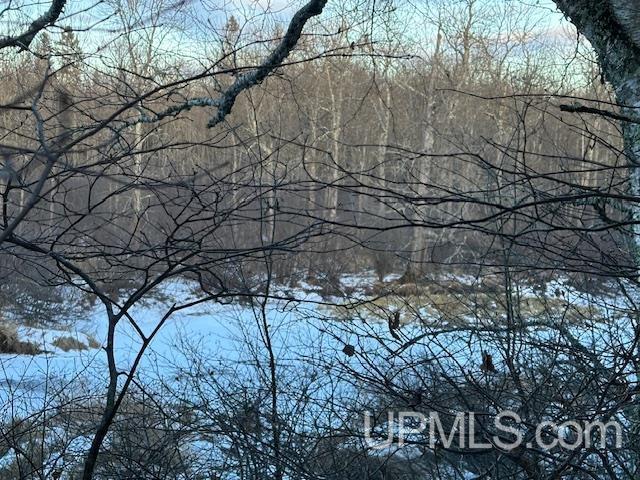 11812 East Howen Road Long Lake, WI 54542 - Photo 20 of 20