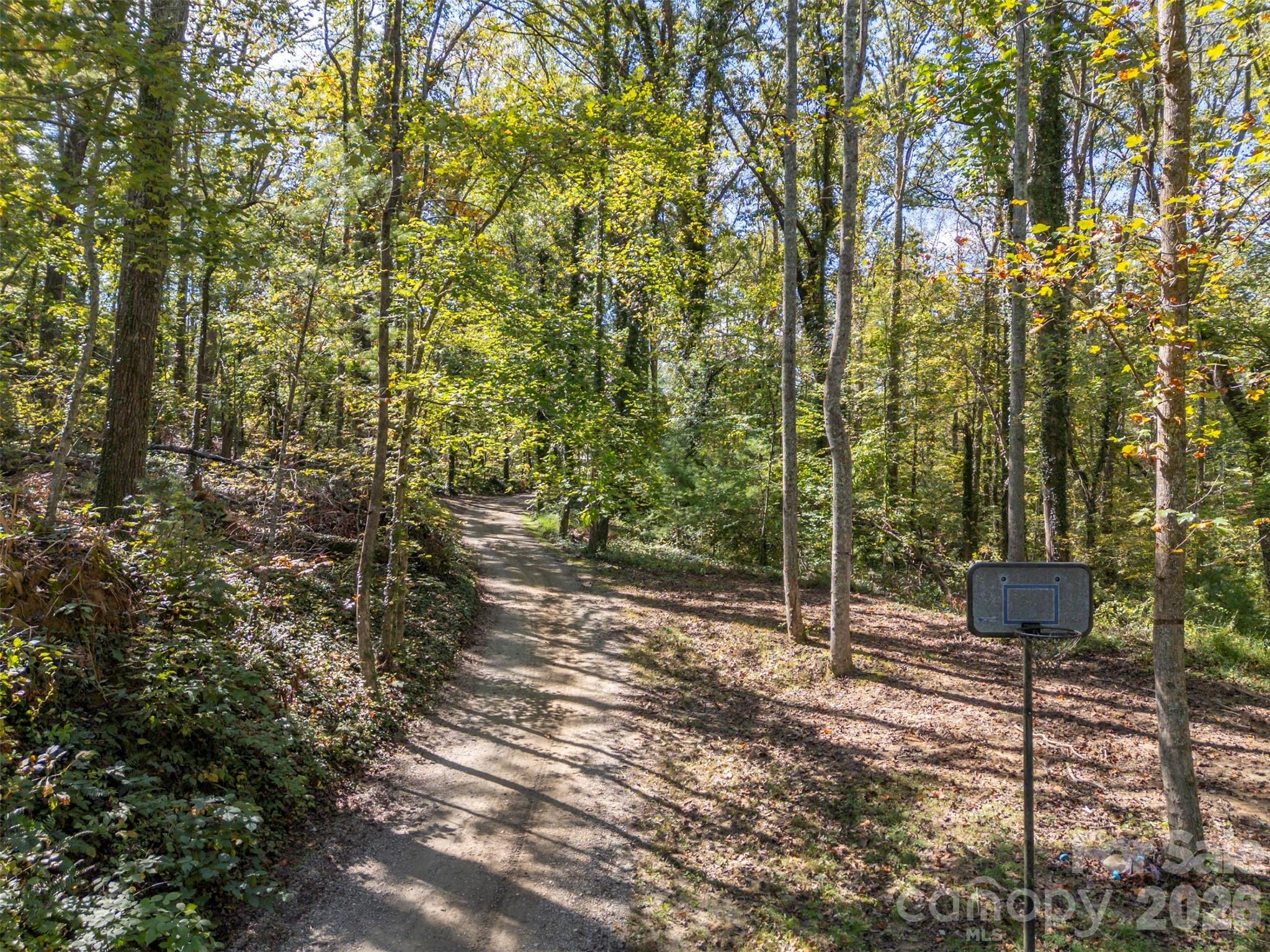 275 Souther Road Fletcher, NC 28732 - Photo 44 of 48