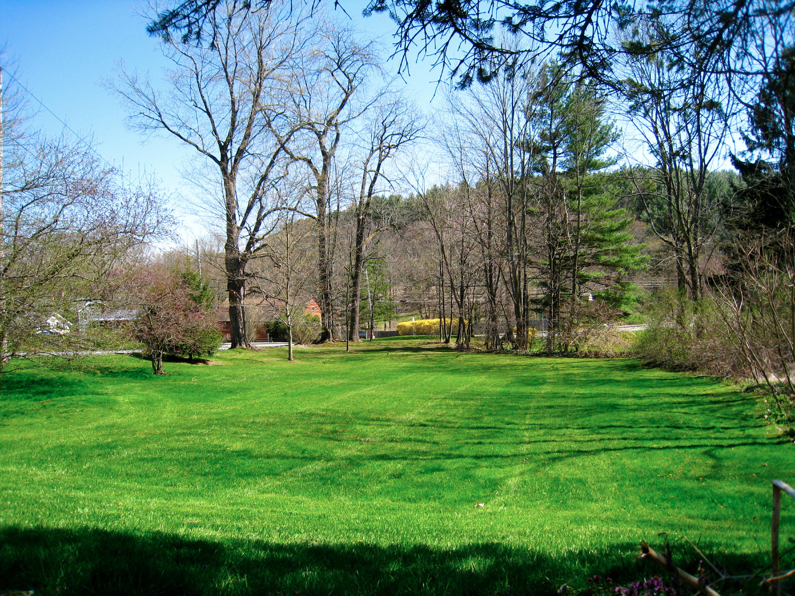big yard