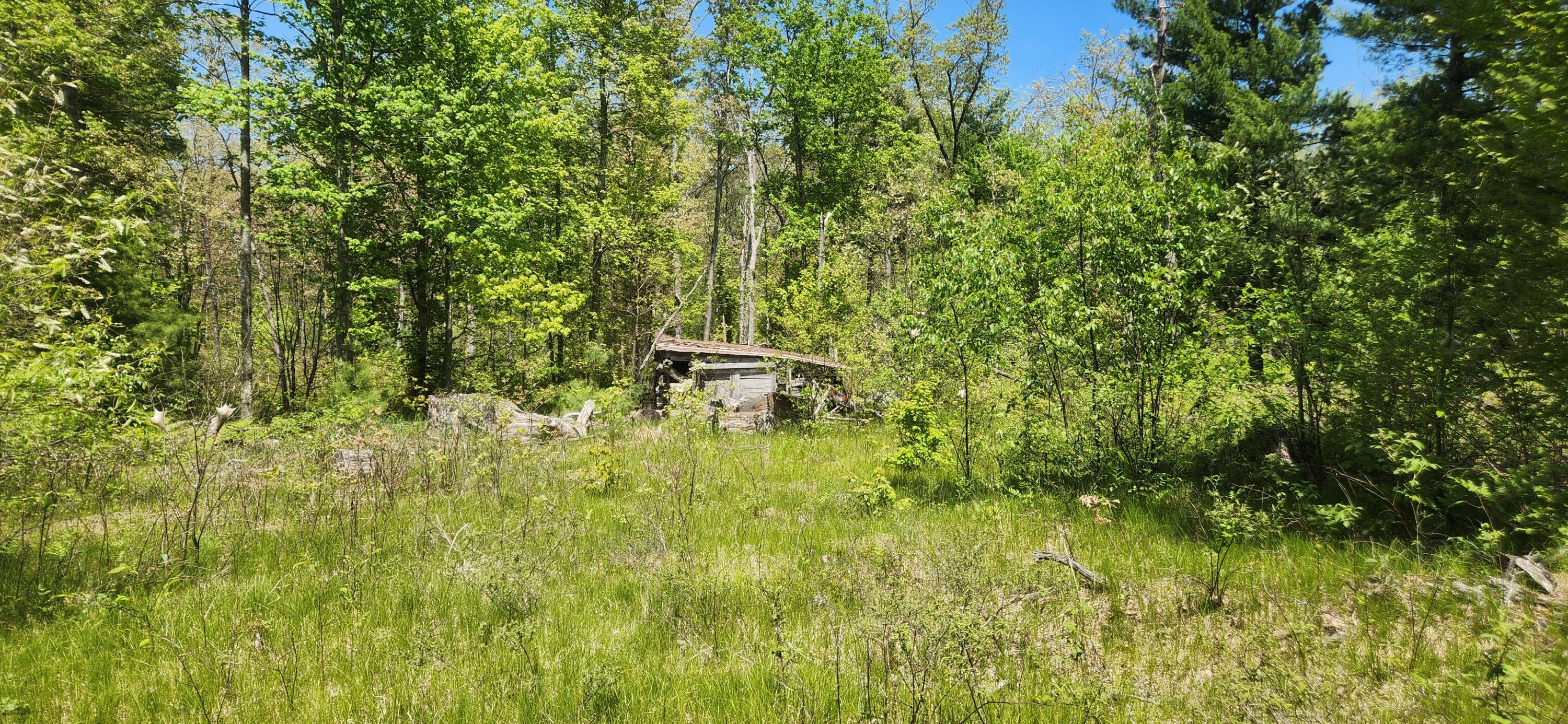 7746 North Woodbridge Road Brohman, MI 49312 - Photo 41 of 41 1000028671