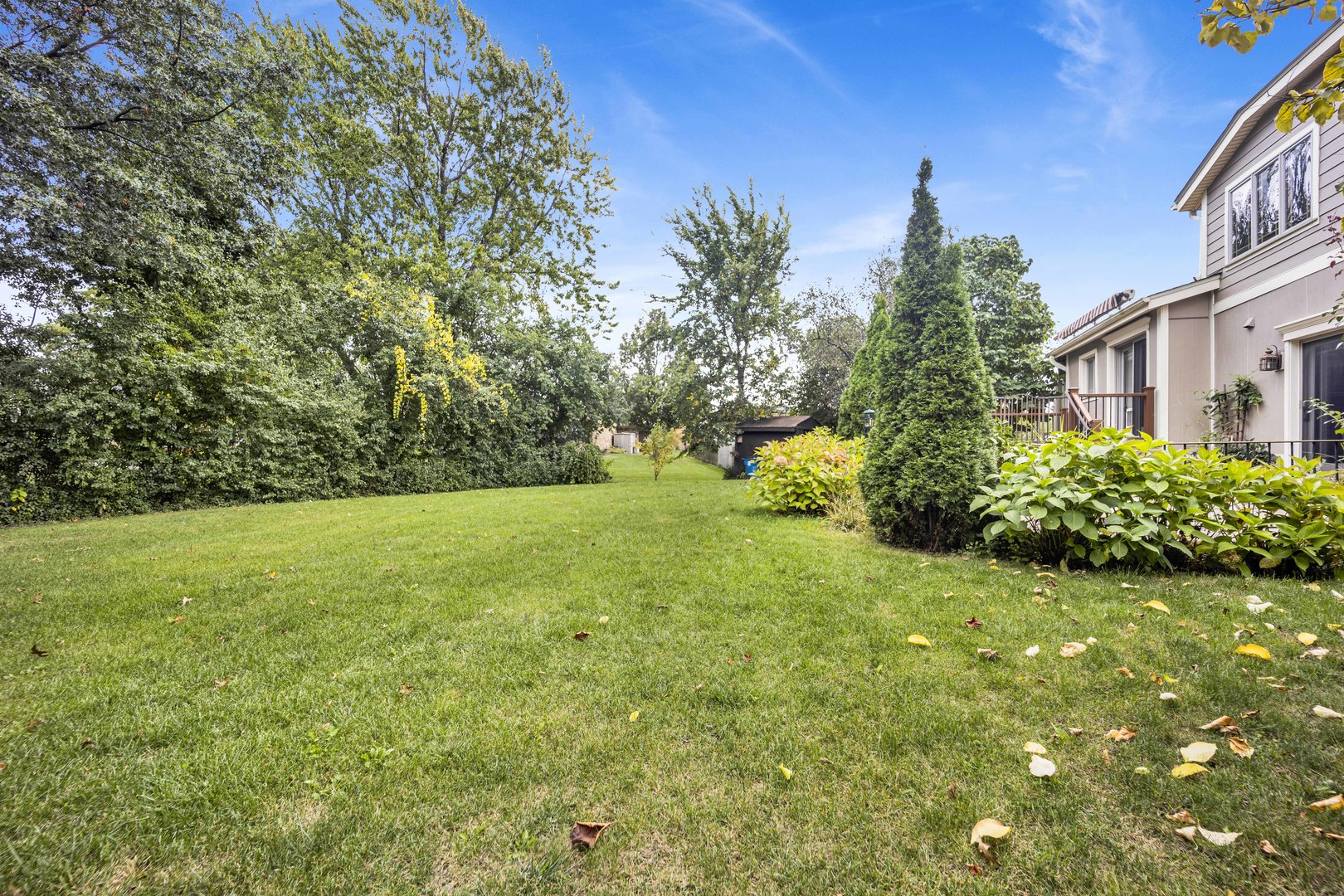 823 North Harrow Court Addison, IL 60101 - Photo 5 of 41