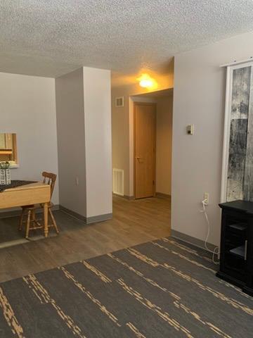 31 Chestnut Street East, Unit 2 Trimont, MN 56176 - Photo 12 of 53