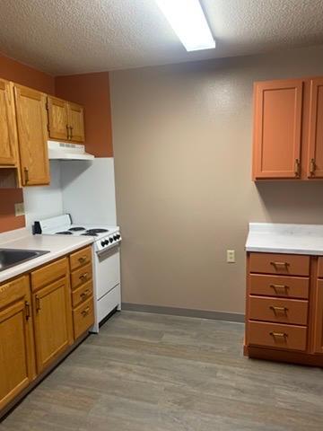 31 Chestnut Street East, Unit 2 Trimont, MN 56176 - Photo 5 of 53