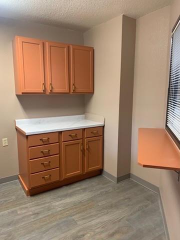 31 Chestnut Street East, Unit 2 Trimont, MN 56176 - Photo 6 of 53