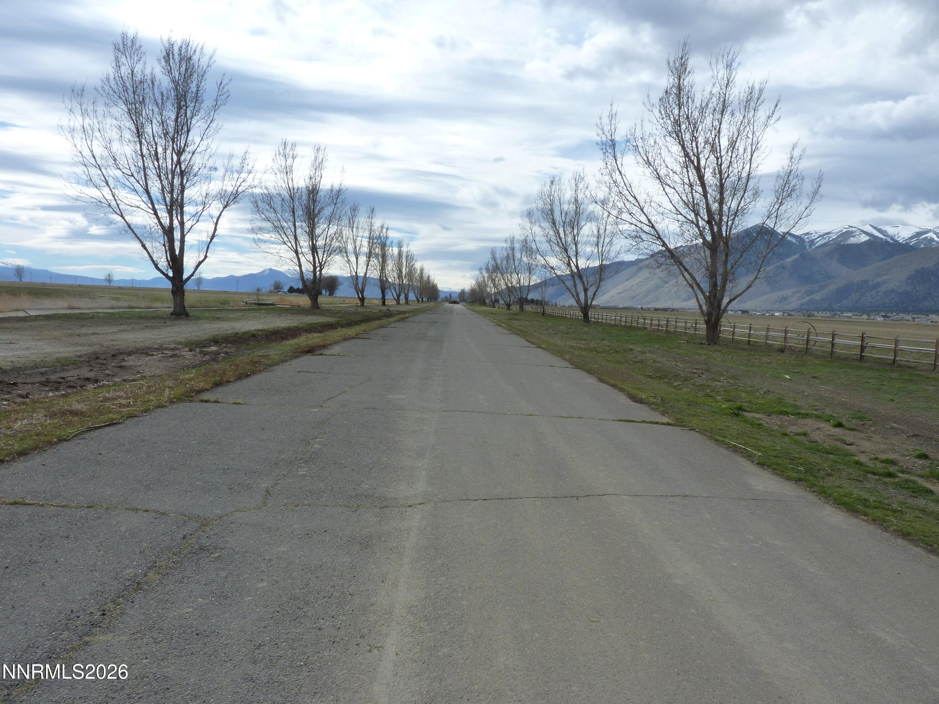 101 Oreana Peak Road Smith Valley, NV 89444 - Photo 2 of 4 Road to property