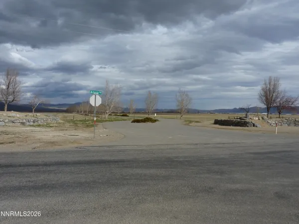 $250,000 | 101 Oreana Peak Road, Smith Valley, NV 89444