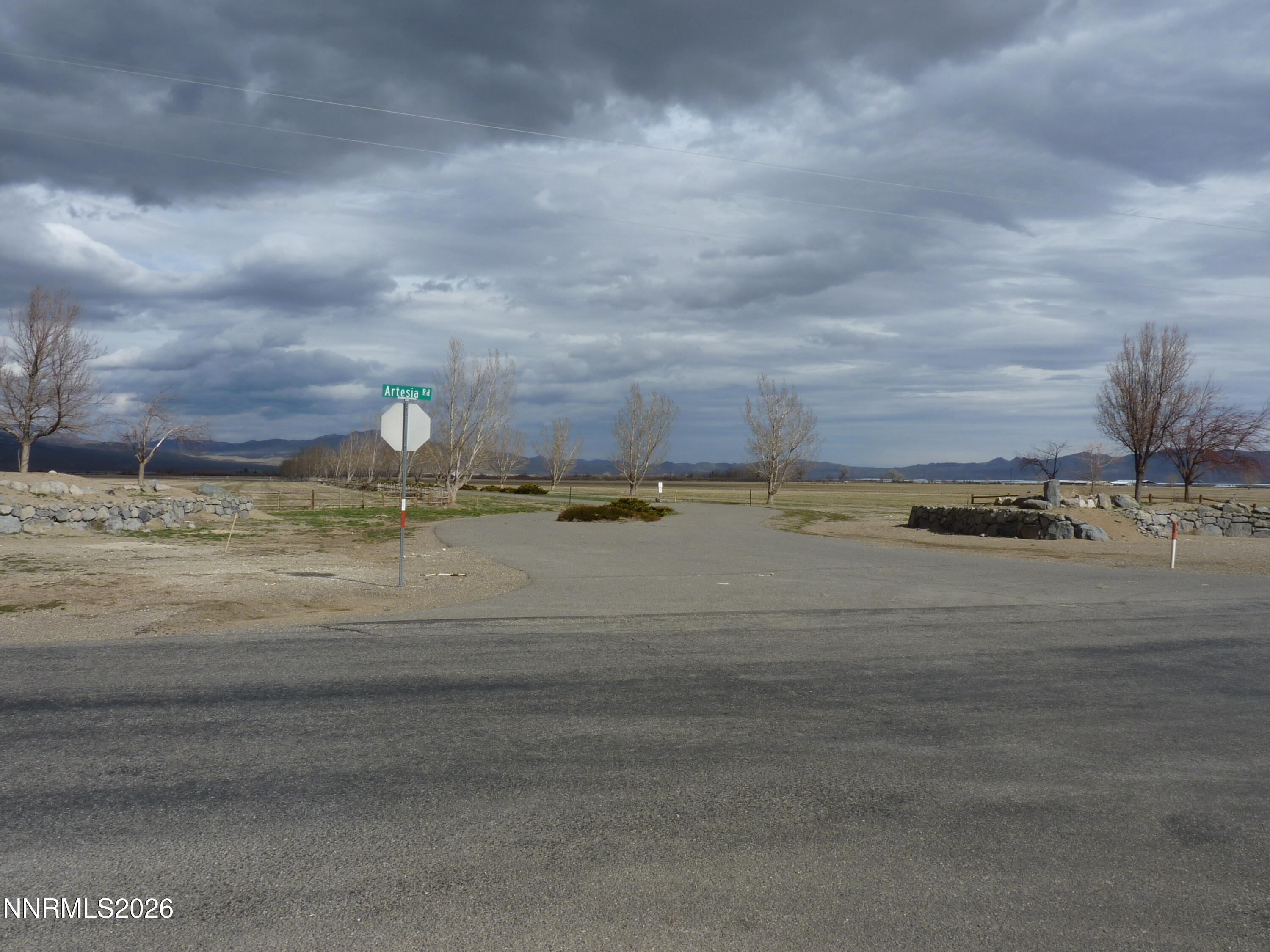 101 Oreana Peak Road Smith Valley, NV 89444 - Photo 3 of 4 Road to Property