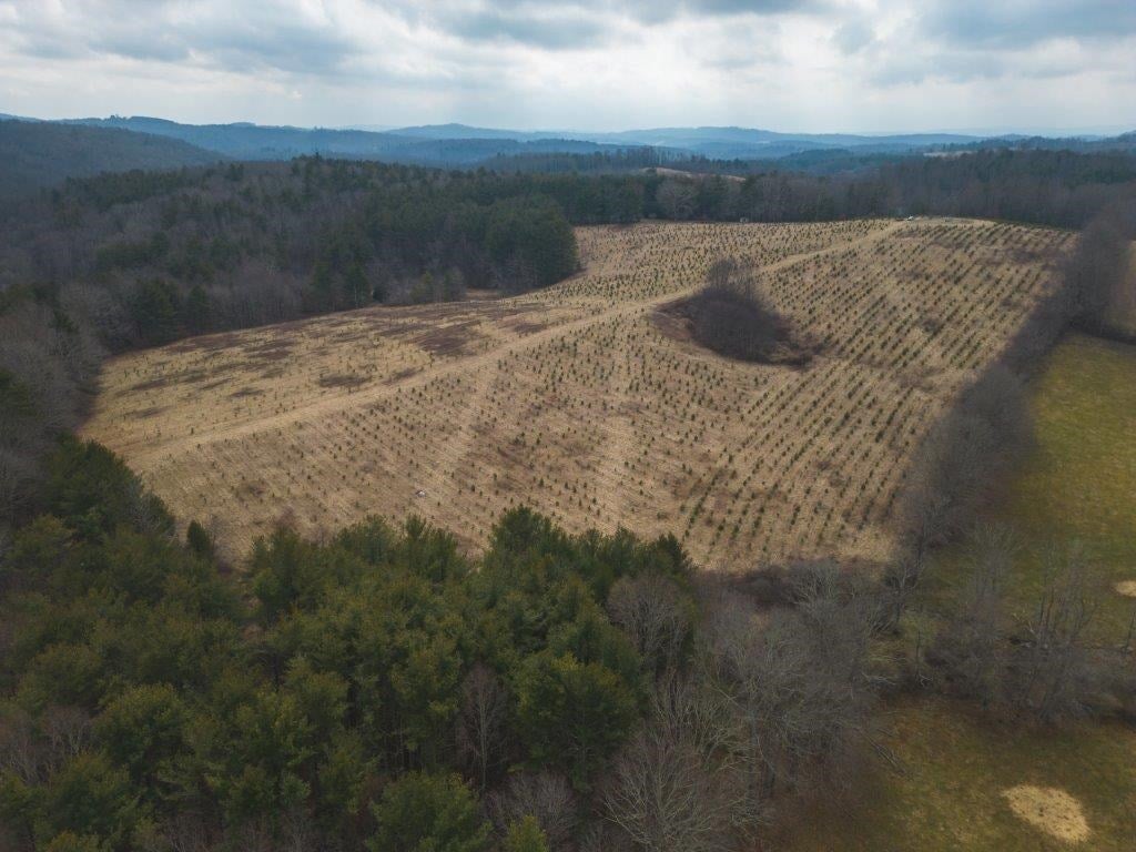 Tbd Long Mountain Road Southwest Willis, VA 24380 - Photo 26 of 66 Gallery Image 26