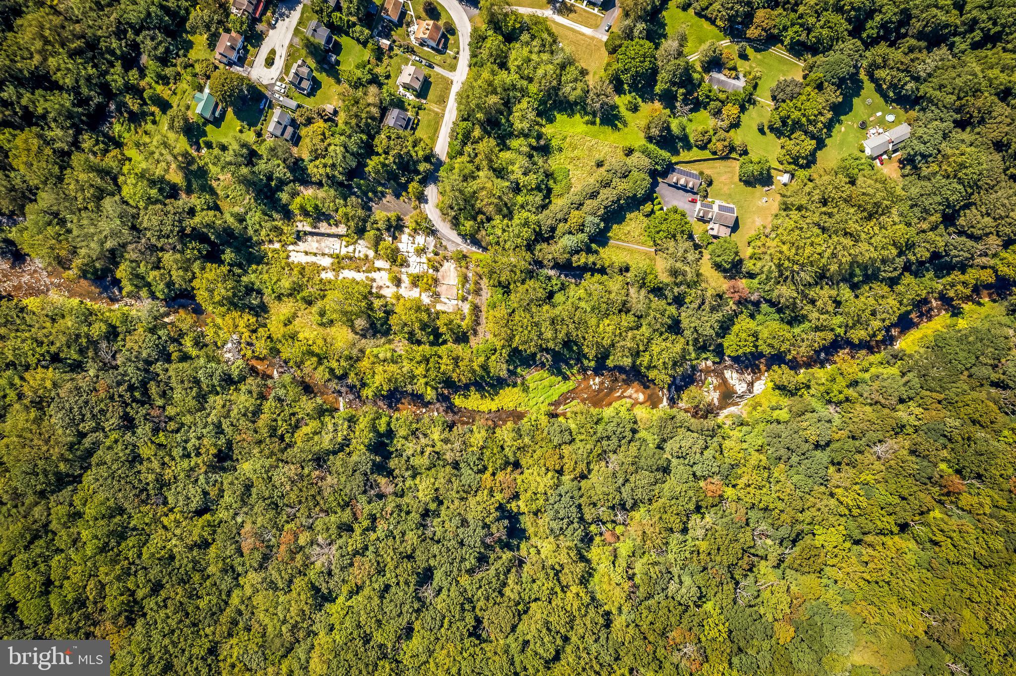 11914 Jericho Road Kingsville, MD 21087 - Photo 59 of 71 a view of a tree with a tree